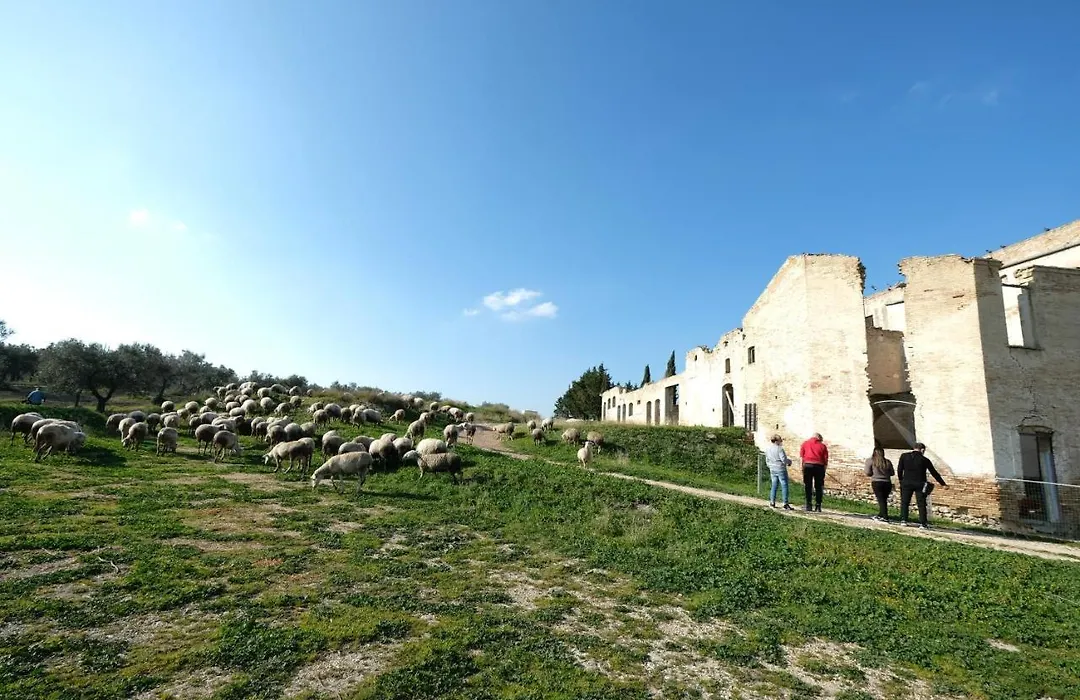 Masseria Sant'Agapito-1